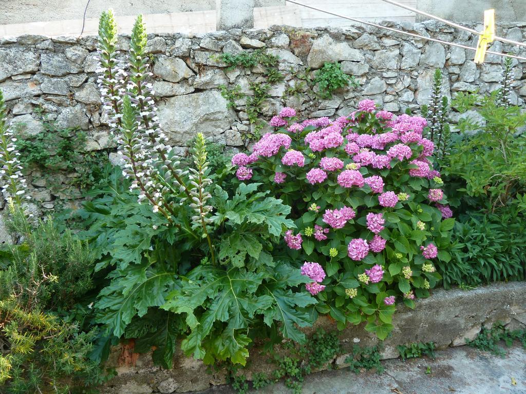 Apartment Nada Veli Losinj Exterior photo